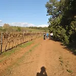 Agriturismo Valentini *