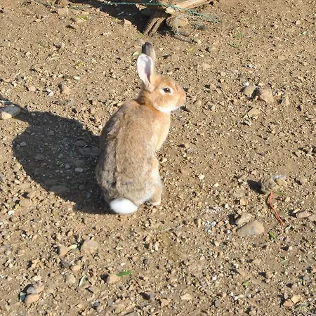 Bauernhof Agriturismo Valentini