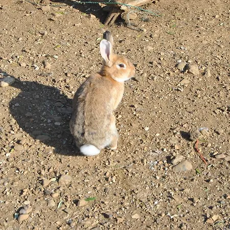 בית חווה Agriturismo Valentini
